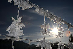 Bild: Zaun in den Alpen im Winter (Foto: neumayr.cc)